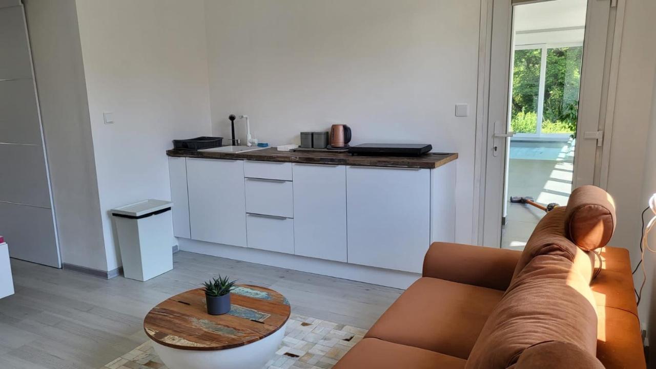 Apartman S Bazenem A Saunou Kadan Exterior photo